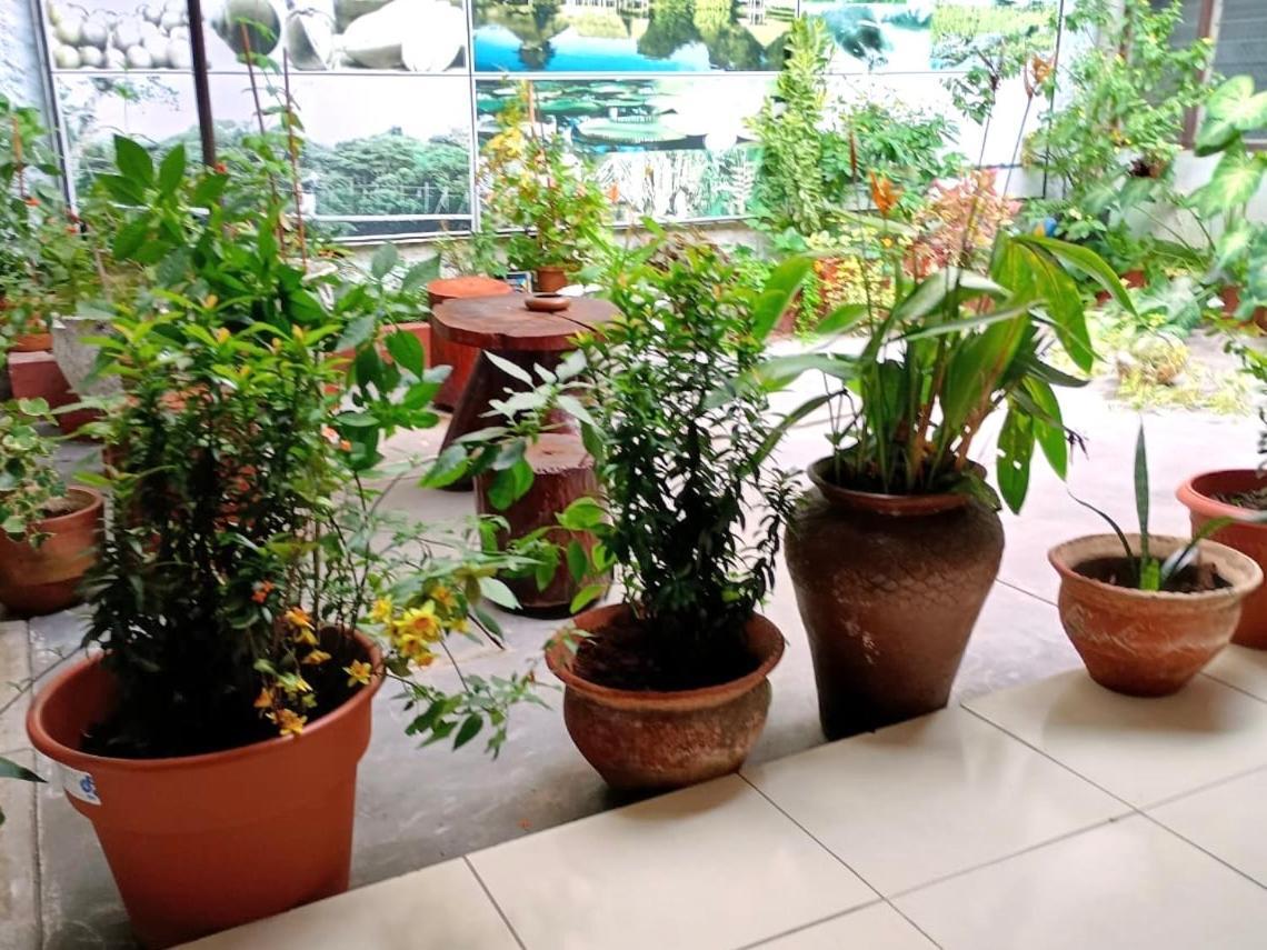 Hospedaje Casa Amazonica Iquitos Extérieur photo